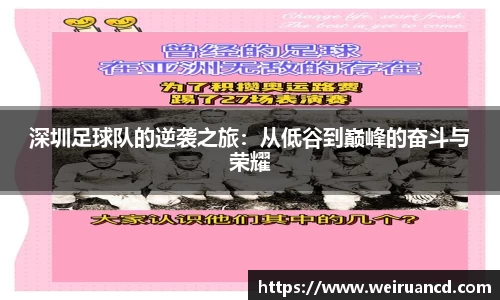 NG体育官网