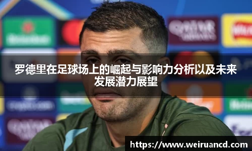 NG体育官网